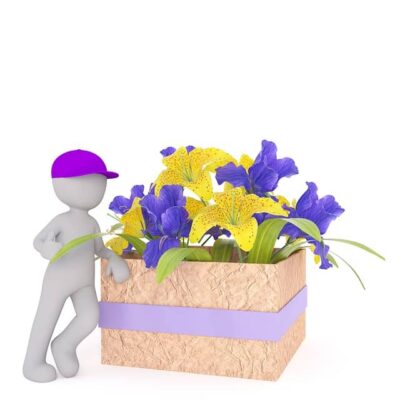 أحواض الزهور,احواض زهور,عزل احواض الزهور,أحواض الزهور,تصميم احواض الزهور,تزيين أحواض الزهور,الزهور,الوان الزهور,من ايدك احلى -هيام اسماعيل –تزيين أحواض الزهور,احواض,الزهور والورد,عزل الاحواض,تعلم زراعة الزهور,احواض خرسانة,احواض نباتات,أحواض,طريقة عمل احواض زهور من الاطارات المستعملة,كيفيه استلام بند العزل عزل الاسطح أو عزل احواض الزهور 2022كورس مهندس موقع,انواع الورود المنزلية,زراعة البذور,زراعة الازهار,حوض زهور,زهور,مجسم زهور,زهور صفراء,زهور طبيعية