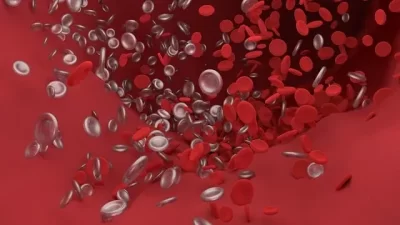 التهابات مجرى الدم,التهاب المسالك البولية,علاج التهاب البول,علاج التهاب المسالك البولية,اعراض التهاب البول,التهاب مجري البول,التهاب المثانة,التهاب مجري البول للاطفال,التهاب مجري البول في الاطفال,التهاب مجري البول عند الاطفال,التهاب المجاري البولية,اعراض التهاب المسالك البولية,علاج التهاب المجاري البولية,علاج التهاب المثانة,التهابات,التهابات البول,علاج التهاب البروستاتا,علاج الرمل والتهاب المجاري البولية,علاج التهاب المثانة بالاعشاب,التهاب الحنجرة